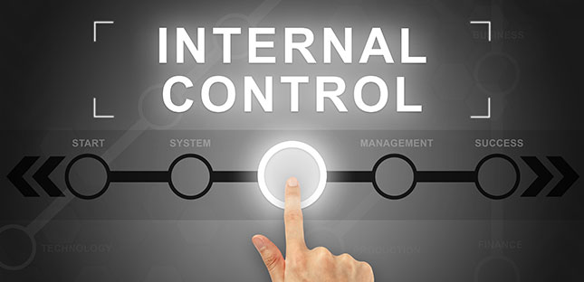 Maintaining Internal Controls in Dynamic and Distributed Business