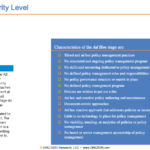 Policy Management Maturity: Level 1 – The Ad Hoc